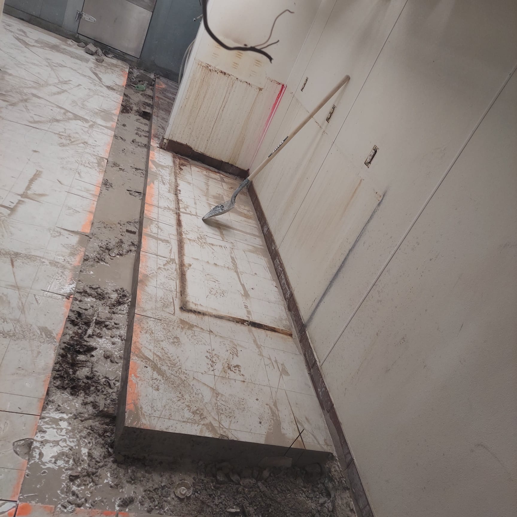 Demolition Project